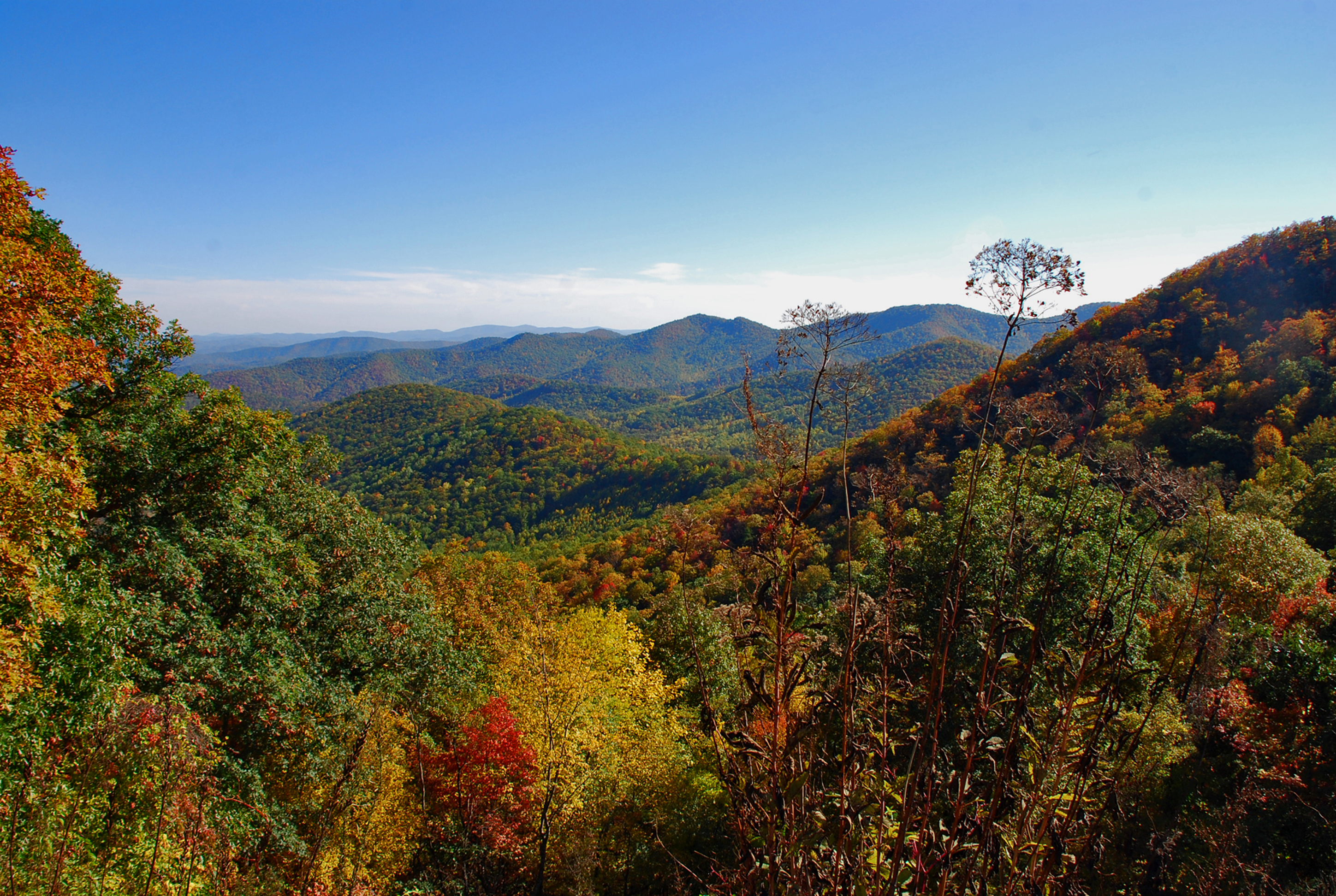 Striving for Thriving: Balancing Nature and Commerce in Transylvania County